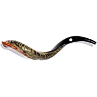 Los mejores  - Auténtico shofar yemenita (70 cm a 79 cm).
